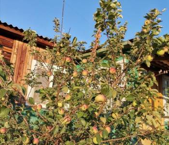 Продается 3-х комнатная квартира, 70,4 м²