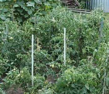 Продается Дом, 40 м²