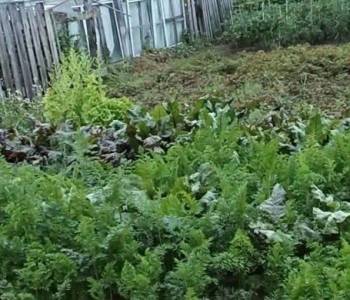 Продается Дом, 40 м²