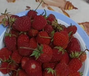 Продается Дом, 40 м²