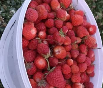 Продается Дом, 40 м²