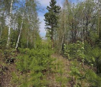 Продается Участок, 700 м²