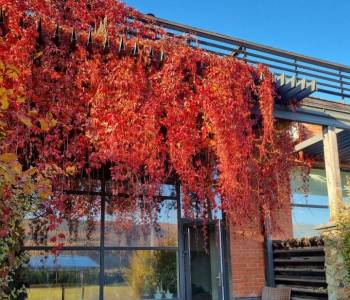 Продается Многокомнатная квартира, 282 м²