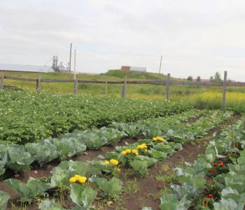 Продается Дом, 101 м²