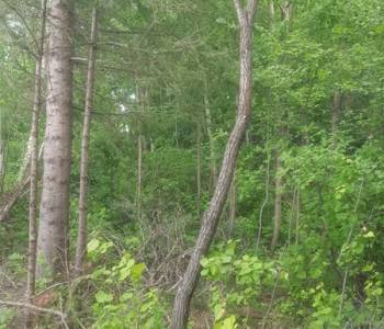 Продается Участок, 1000 м²