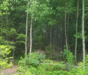 Продается Участок, 1000 м²