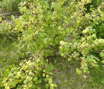 Продается Дом, 125 м²