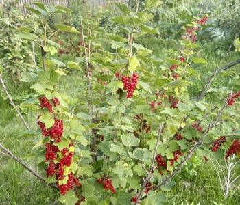 Продается Дом, 125 м²