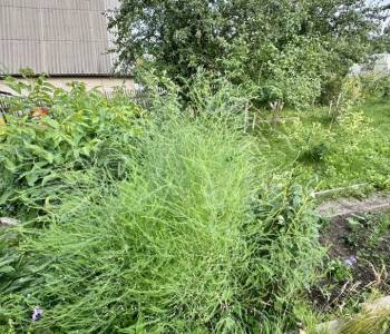 Продается Дом, 125 м²