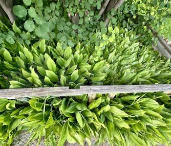 Продается Дом, 125 м²