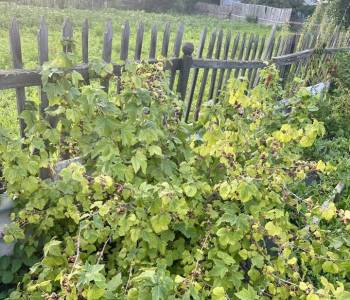 Продается Дом, 125 м²