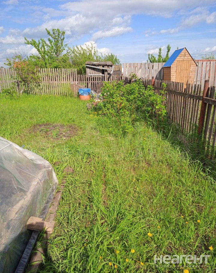 Фотография №4