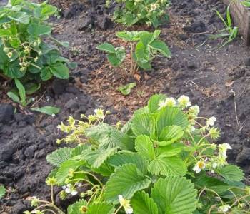 Продается Дом, 20 м²