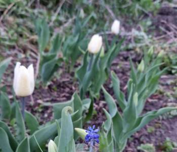 Продается Участок, 750 м²