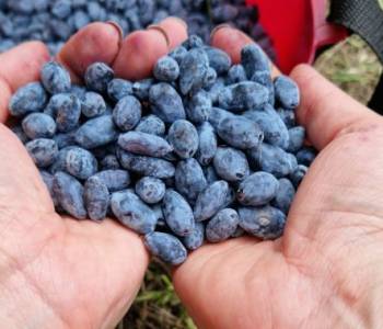 Продается Участок, 750 м²