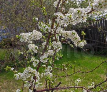 Продается Дом, 392 м²