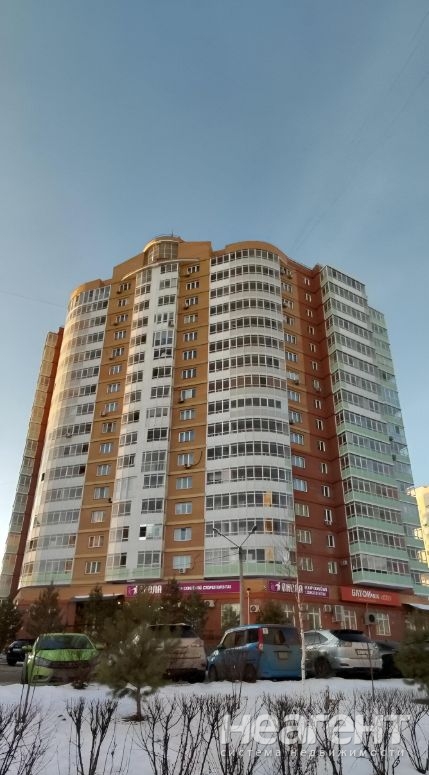 Сдается 1-комнатная квартира, 48,3 м²