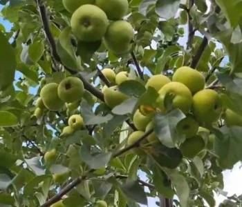 Продается Дом, 50 м²