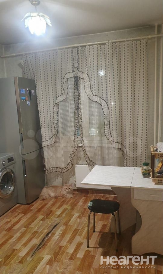 Фотография №3