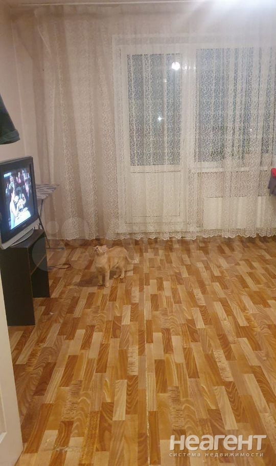 Фотография №4