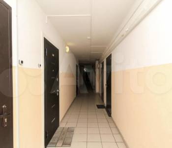 Продается 1-комнатная квартира, 25,6 м²