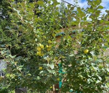 Продается Дом, 48 м²