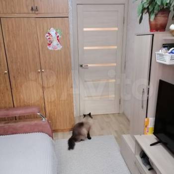 Продается Многокомнатная квартира, 58,8 м²