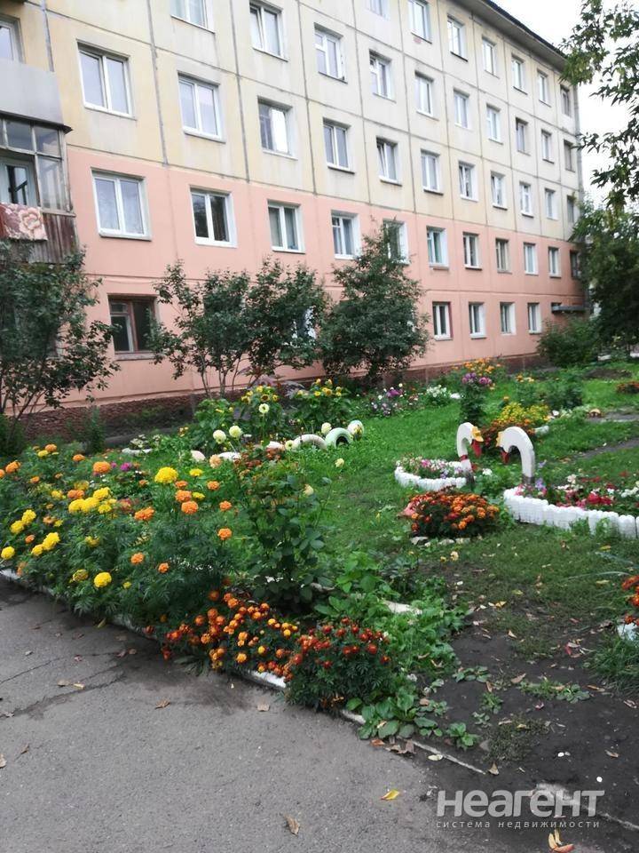 Фотография №4