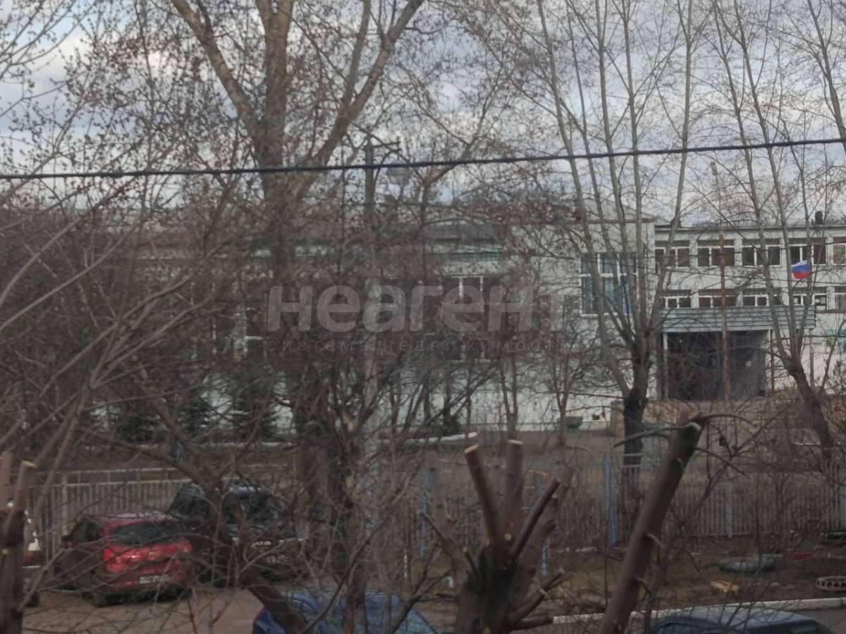 Фотография №8