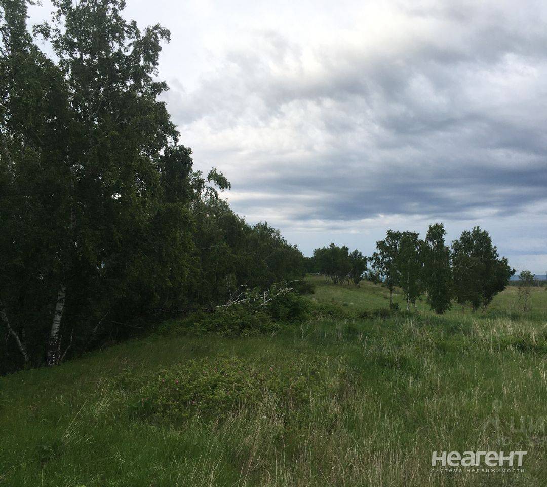 Продается участок, Есаульский с/с, ДНТ Лужники