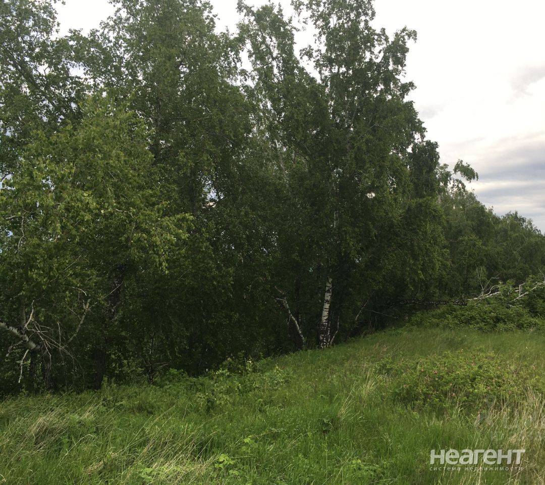 Фотография №2