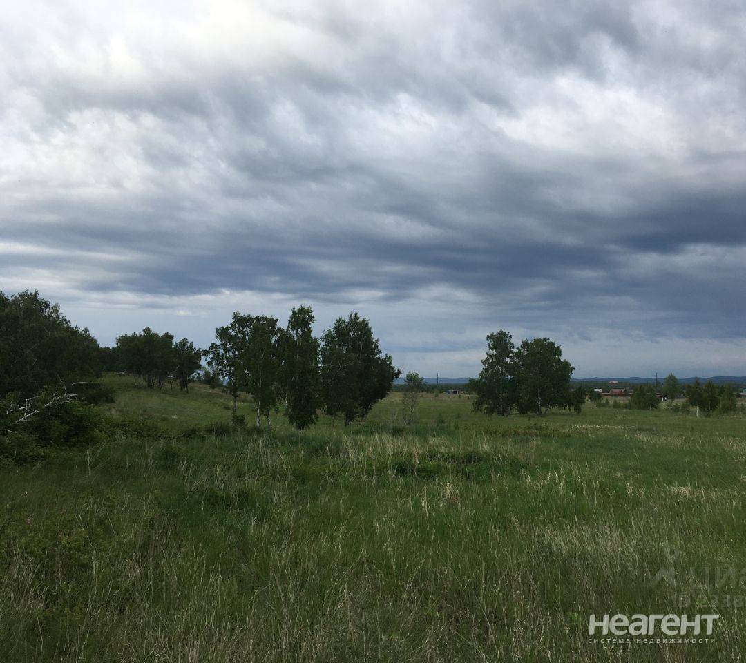 Фотография №4