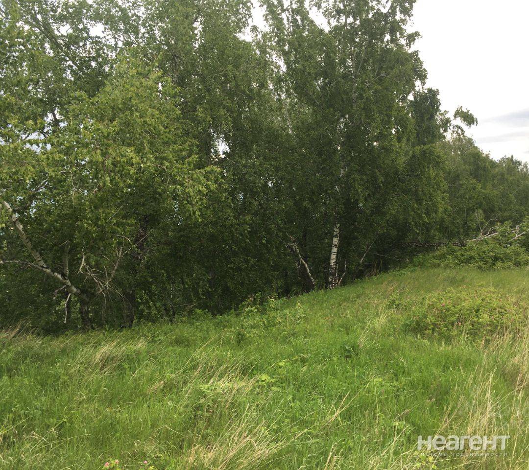 Фотография №5