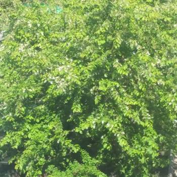 Продается 2-х комнатная квартира, 48,5 м²