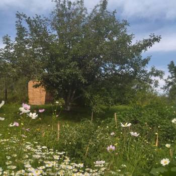 Продается Дом, 24 м²