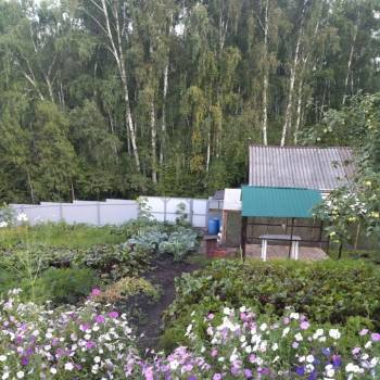 Продается Дом, 24 м²