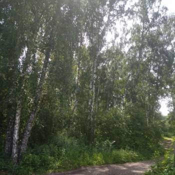 Продается Дом, 24 м²