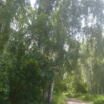 Продается Дом, 24 м²