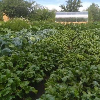 Продается Дом, 24 м²