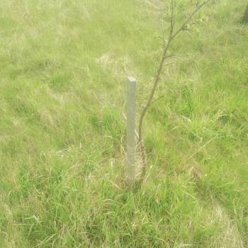 Продается Участок, 800 м²