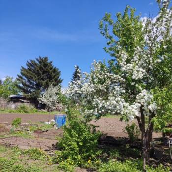 Продается Дом, 50 м²