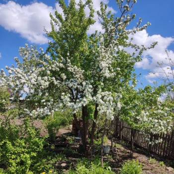 Продается Дом, 50 м²