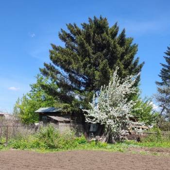 Продается Дом, 50 м²