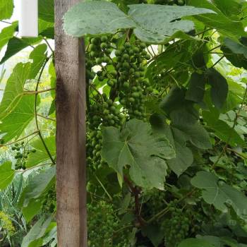 Продается Дом, 114 м²