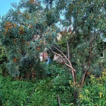 Продается Дом, 12 м²