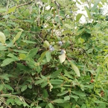 Продается Дом, 12 м²