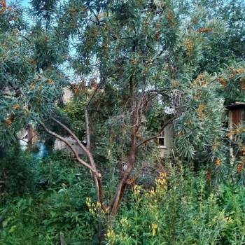 Продается Дом, 12 м²