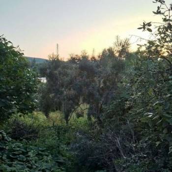 Продается Дом, 12 м²