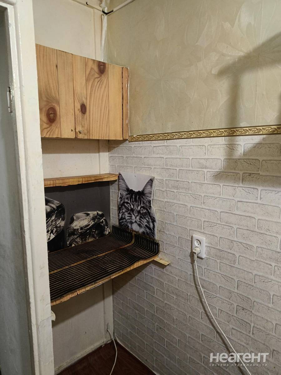 Сдам квартиру-студию, Советский (ул. Устиновича)