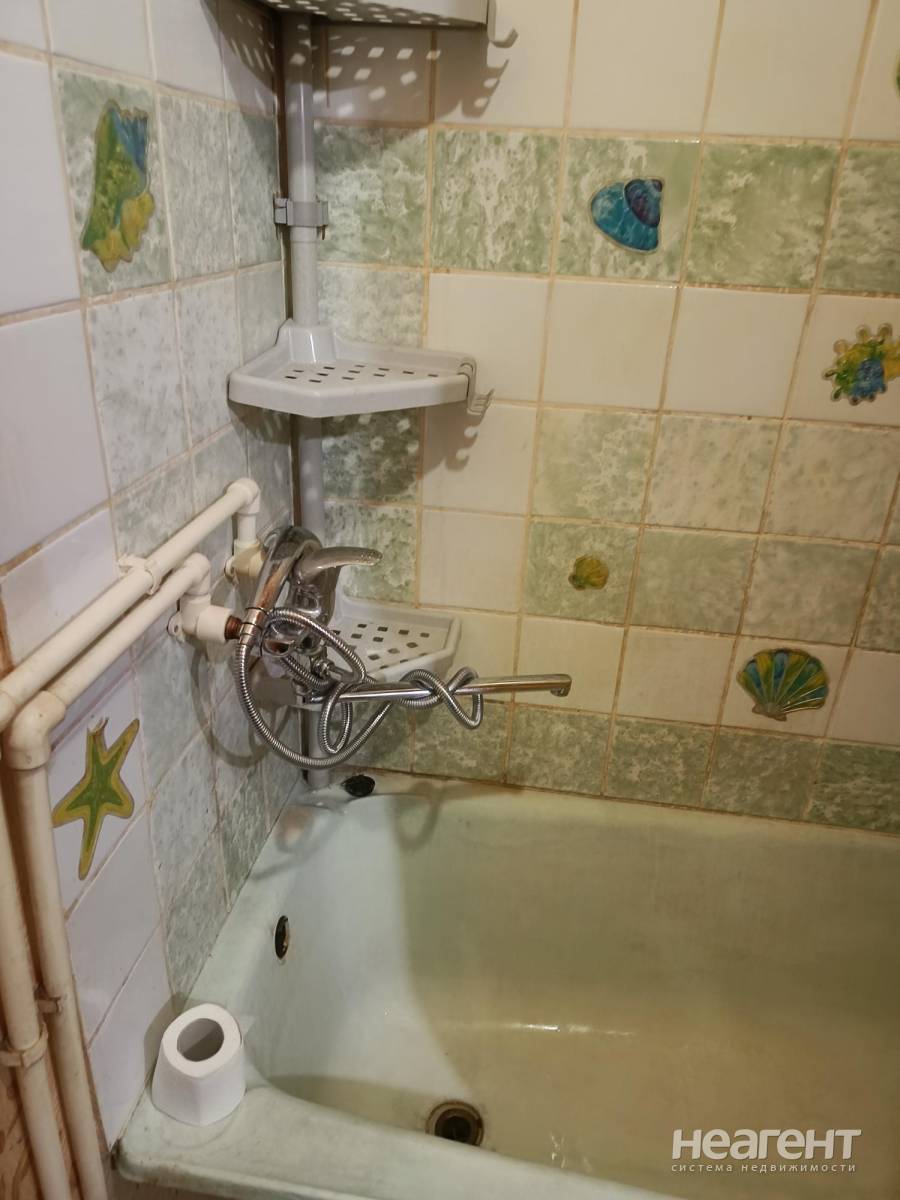 Фотография №5